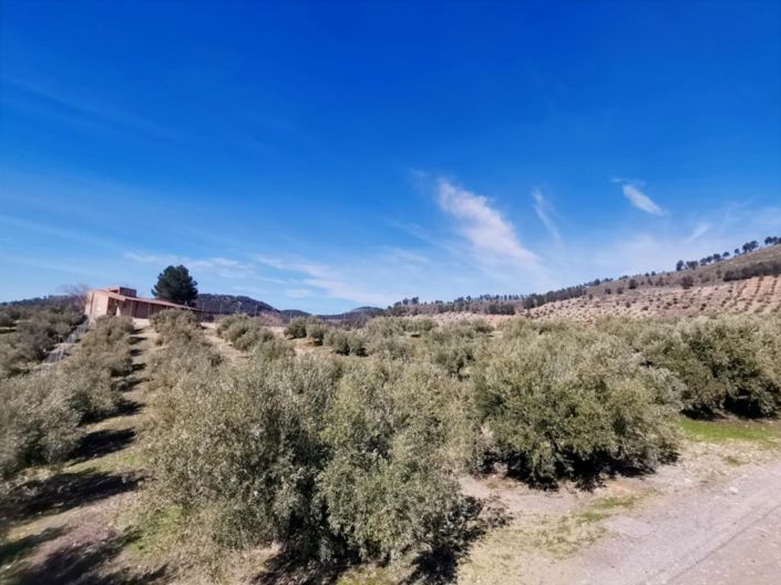 Image No.43-Maison de campagne de 4 chambres à vendre à Sabariego