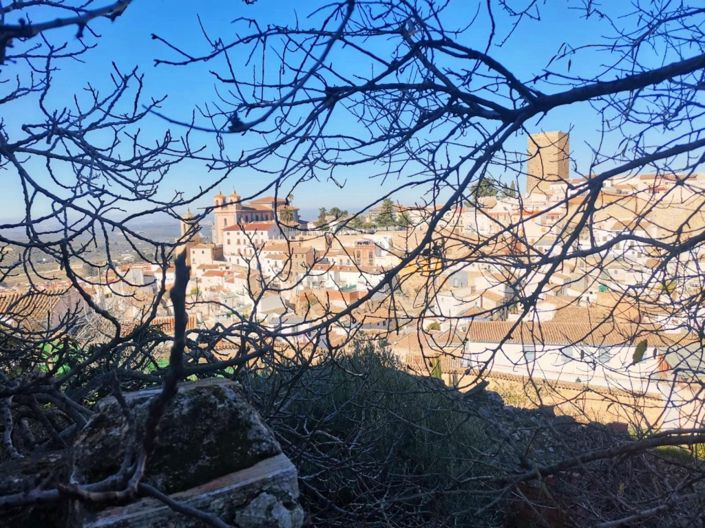 Image No.34-Maison de ville de 3 chambres à vendre à Martos