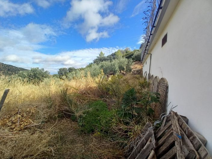 Image No.11-Cortijo de 5 chambres à vendre à Fuensanta de Martos