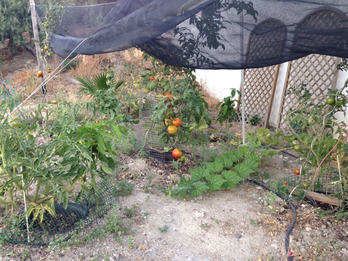 Image No.32-Cortijo de 5 chambres à vendre à Fuensanta de Martos