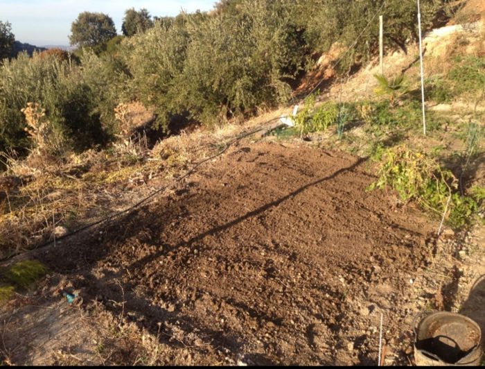 Image No.34-Cortijo de 5 chambres à vendre à Fuensanta de Martos