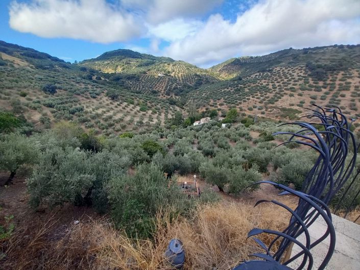 Image No.35-Cortijo de 5 chambres à vendre à Fuensanta de Martos