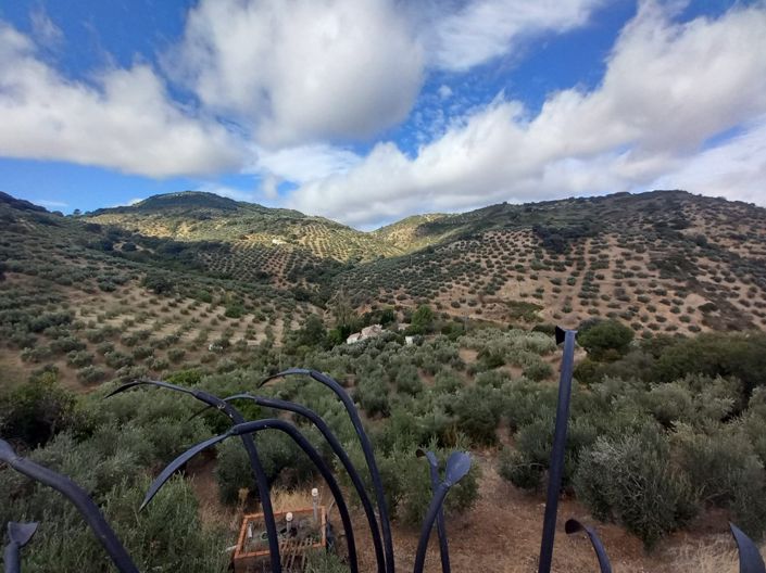 Image No.36-Cortijo de 5 chambres à vendre à Fuensanta de Martos