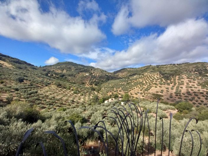 Image No.37-Cortijo de 5 chambres à vendre à Fuensanta de Martos