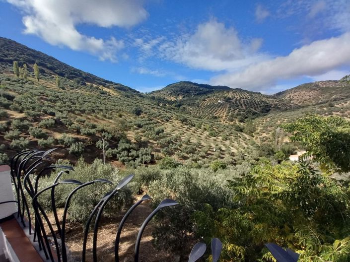 Image No.38-Cortijo de 5 chambres à vendre à Fuensanta de Martos