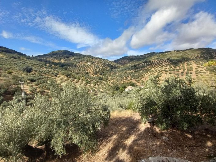 Image No.39-Cortijo de 5 chambres à vendre à Fuensanta de Martos