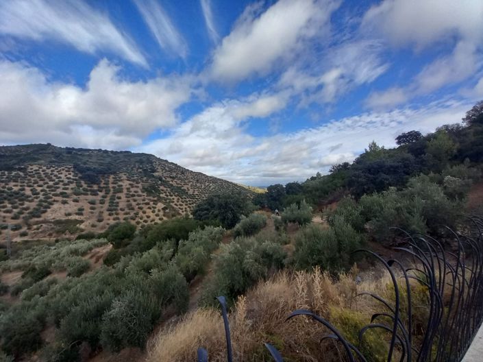 Image No.40-Cortijo de 5 chambres à vendre à Fuensanta de Martos