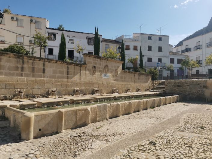 Image No.37-Commercial de 3 chambres à vendre à Martos