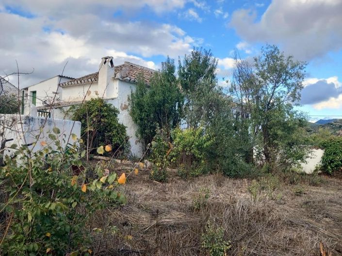 Image No.28-4 Bed Cortijo for sale