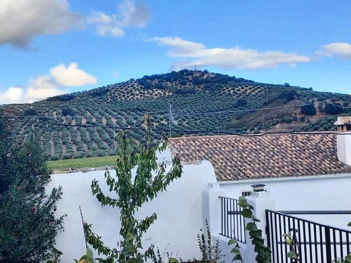 Image No.35-4 Bed Cortijo for sale