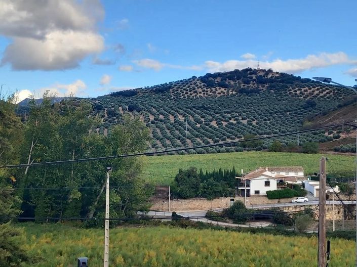 Image No.34-4 Bed Cortijo for sale