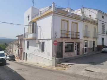 1 - Monturque, Apartment