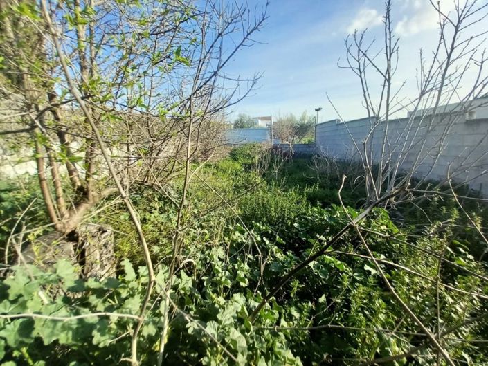 Image No.24-3 Bed Bungalow for sale