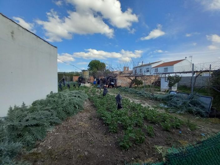 Image No.32-4 Bed Country House for sale