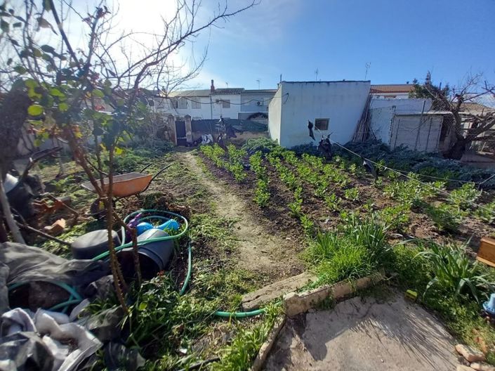 Image No.36-4 Bed Country House for sale