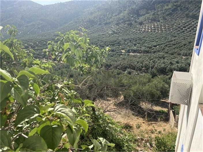 Image No.17-6 Bed Cortijo for sale