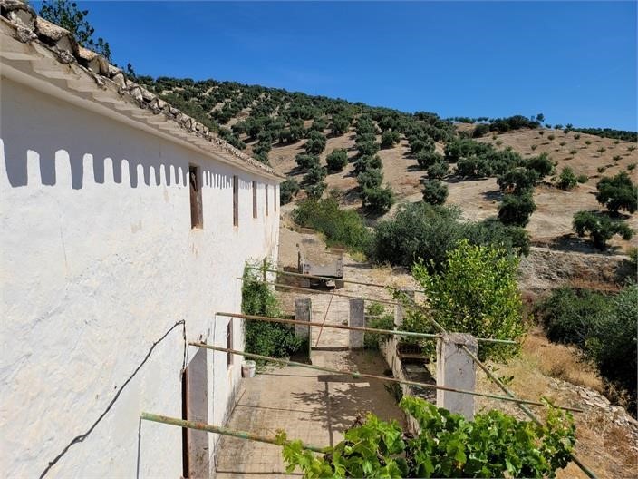 Image No.14-5 Bed Cortijo for sale