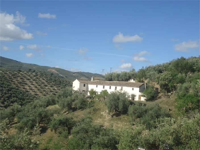 Image No.19-5 Bed Cortijo for sale