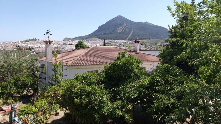 Image No.7-Villa de 5 chambres à vendre à Rute