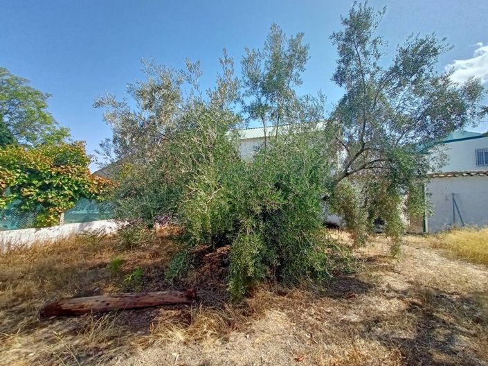 Image No.14-2 Bed Cortijo for sale