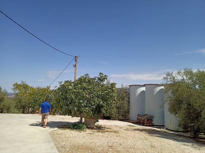 Image No.17-2 Bed Cortijo for sale