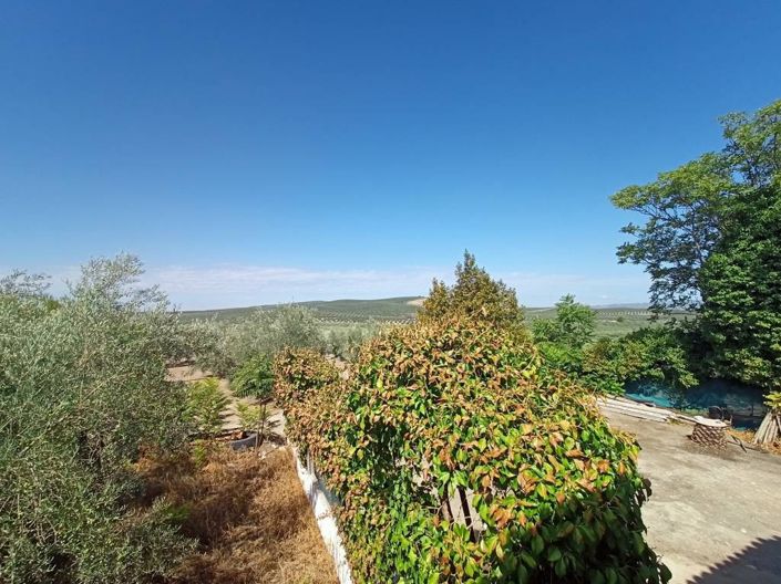 Image No.8-2 Bed Cortijo for sale