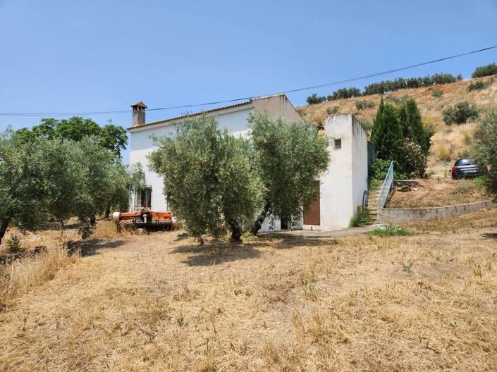 Image No.19-3 Bed Chalet for sale