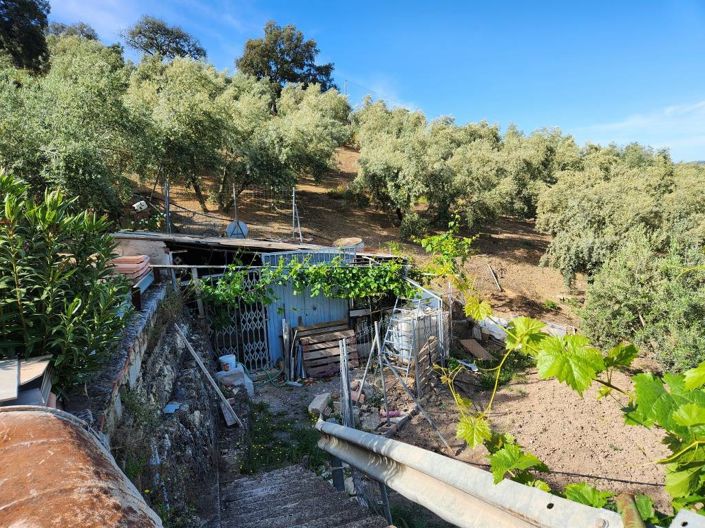 Image No.11-2 Bed Country House for sale