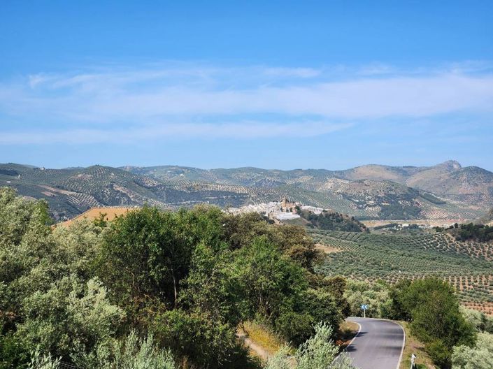 Image No.13-2 Bed Country House for sale