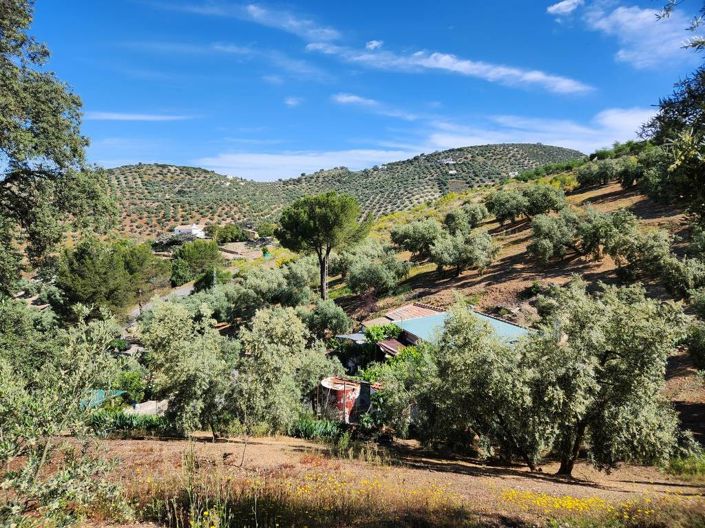 Image No.17-2 Bed Country House for sale