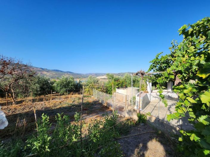 Image No.20-7 Bed Cortijo for sale