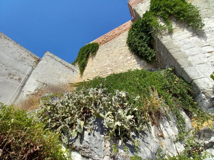 Image No.32-Maison de ville de 2 chambres à vendre à Martos