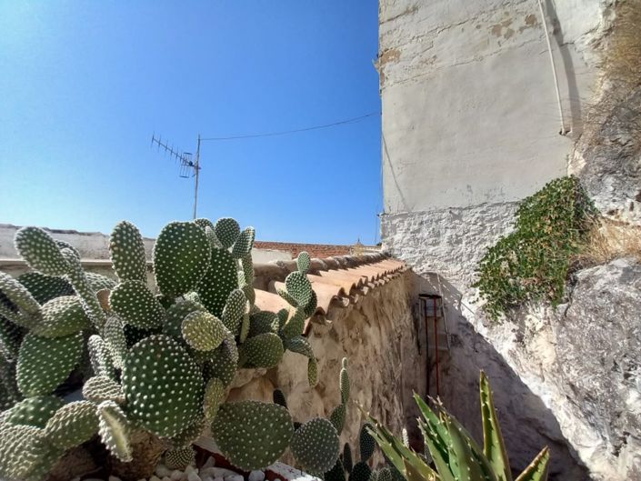 Image No.38-Maison de ville de 2 chambres à vendre à Martos