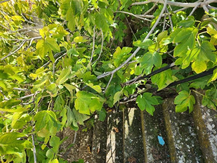 Image No.5-Maison de ville de 3 chambres à vendre à Luque