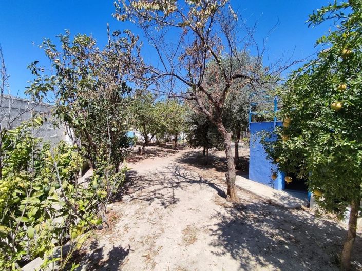 Image No.17-3 Bed Townhouse for sale