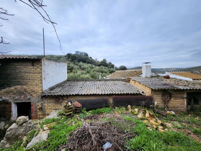 Image No.20-Maison de ville de 4 chambres à vendre à Rute