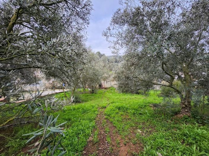 Image No.21-Maison de ville de 4 chambres à vendre à Rute