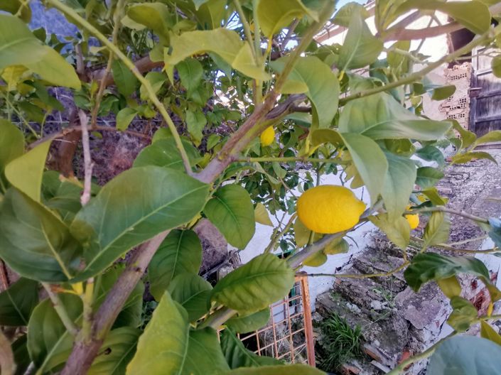 Image No.35-Maison de village de 5 chambres à vendre à Sabariego