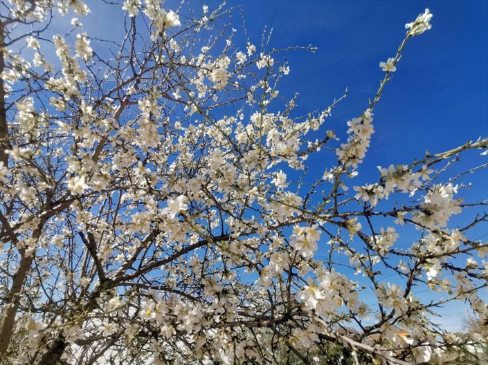 Image No.37-Maison de village de 5 chambres à vendre à Sabariego