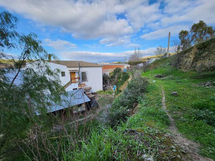 Image No.3-3 Bed Commercial for sale