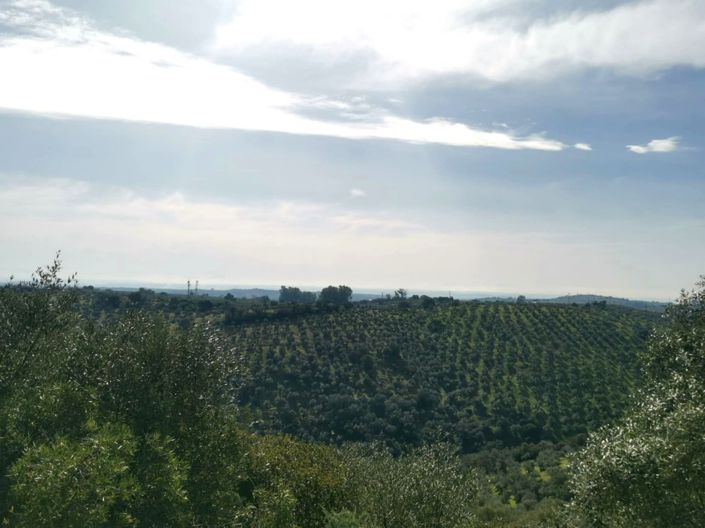 Image No.34-Propriété de pays de 3 chambres à vendre à Montoro