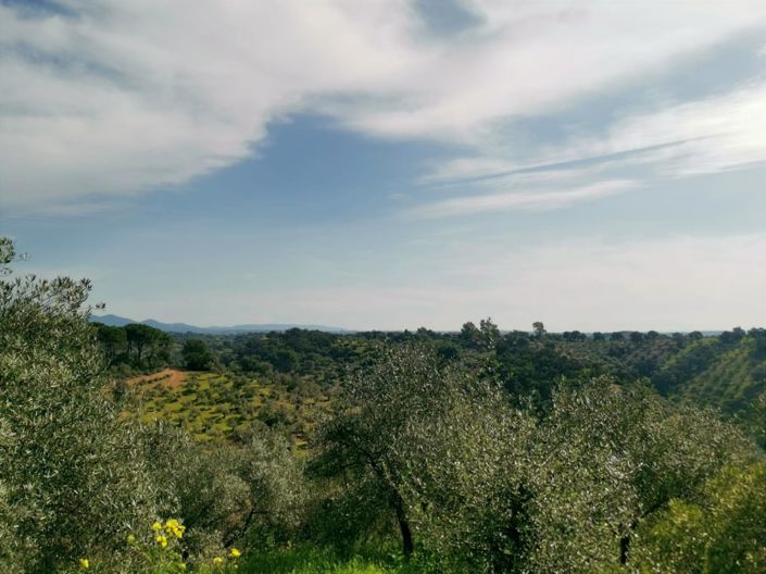 Image No.35-Propriété de pays de 3 chambres à vendre à Montoro