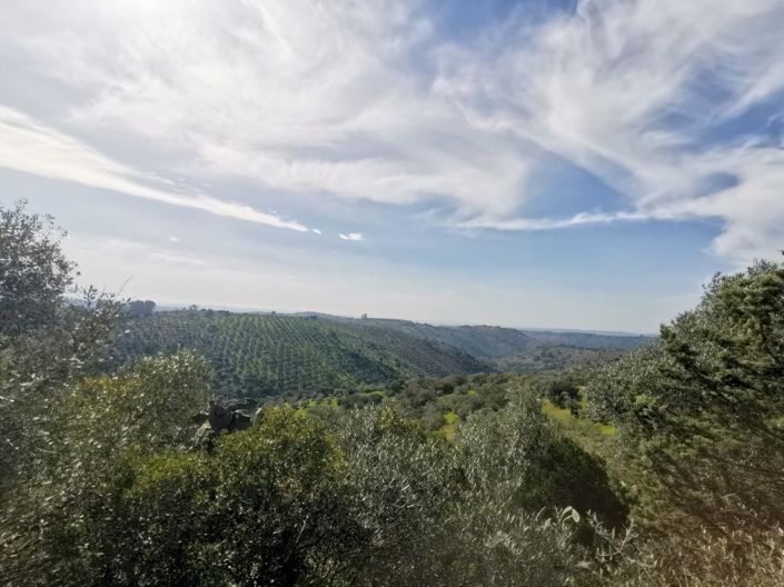 Image No.36-Propriété de pays de 3 chambres à vendre à Montoro