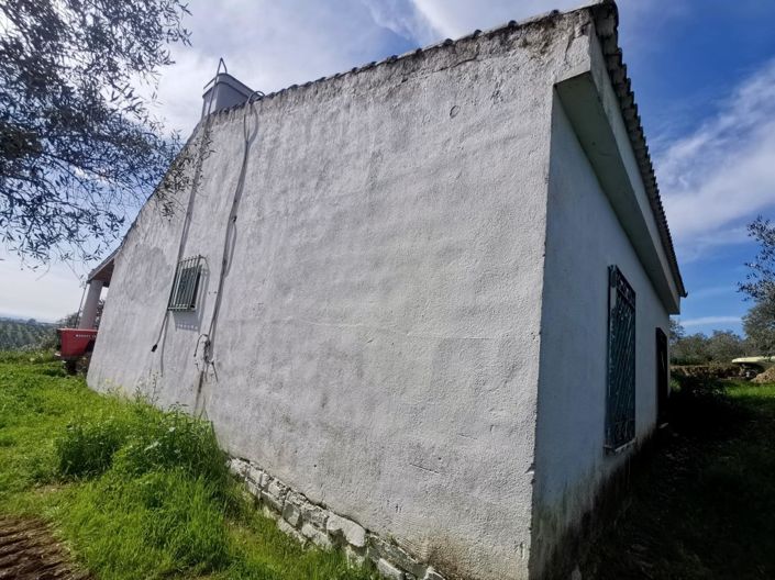 Image No.7-Propriété de pays de 3 chambres à vendre à Montoro