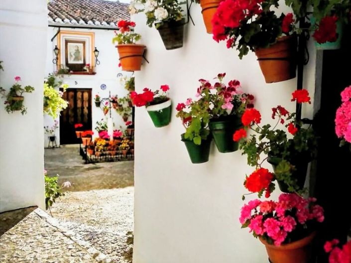 Image No.23-Appartement de 2 chambres à vendre à Priego de Córdoba