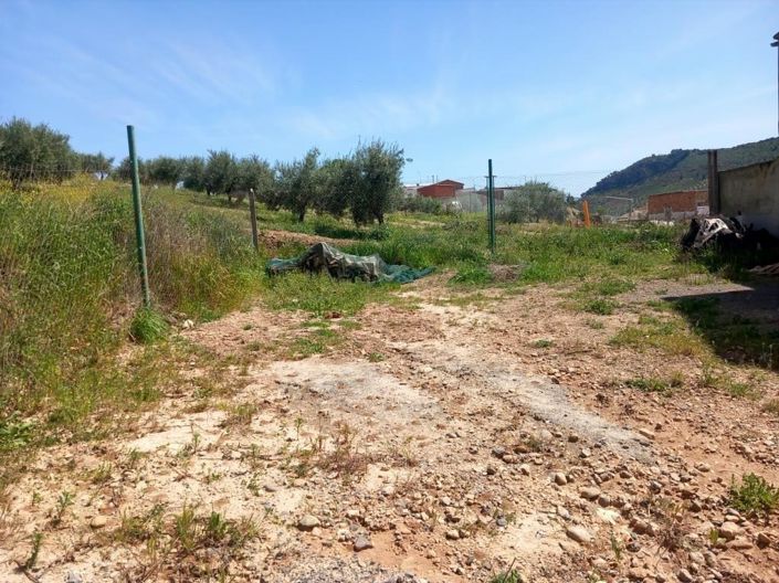 Image No.3-Terrain à vendre à Noguerones