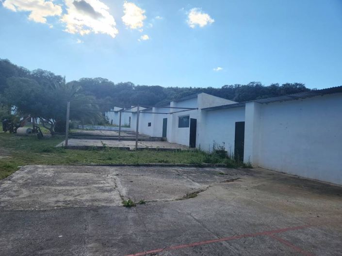 Image No.14-5 Bed Cortijo for sale