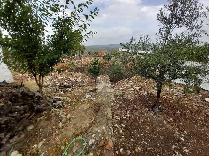 Image No.19-4 Bed Village House for sale