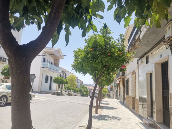 Image No.34-4 Bed Village House for sale