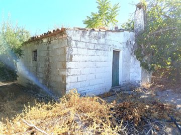 full156665767198263